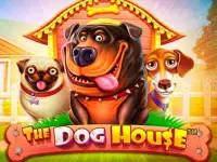 Dog House Slot